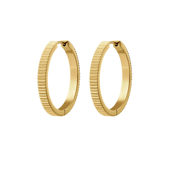 Spare Change Titanium Hoops