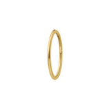 Clicker Hoop (Choose a Size)