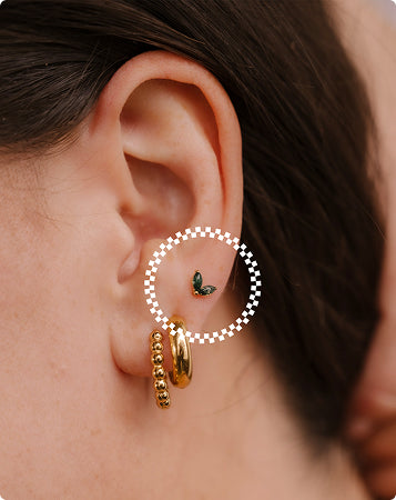 Studs of the Month Subscription Gift