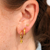 Honeycomb Hoops