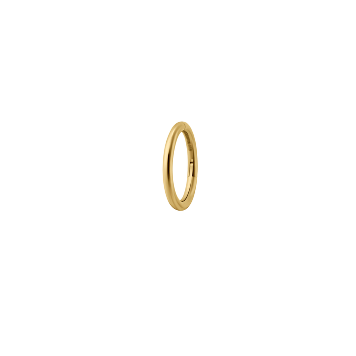 Clicker Hoop (Choose a Size)