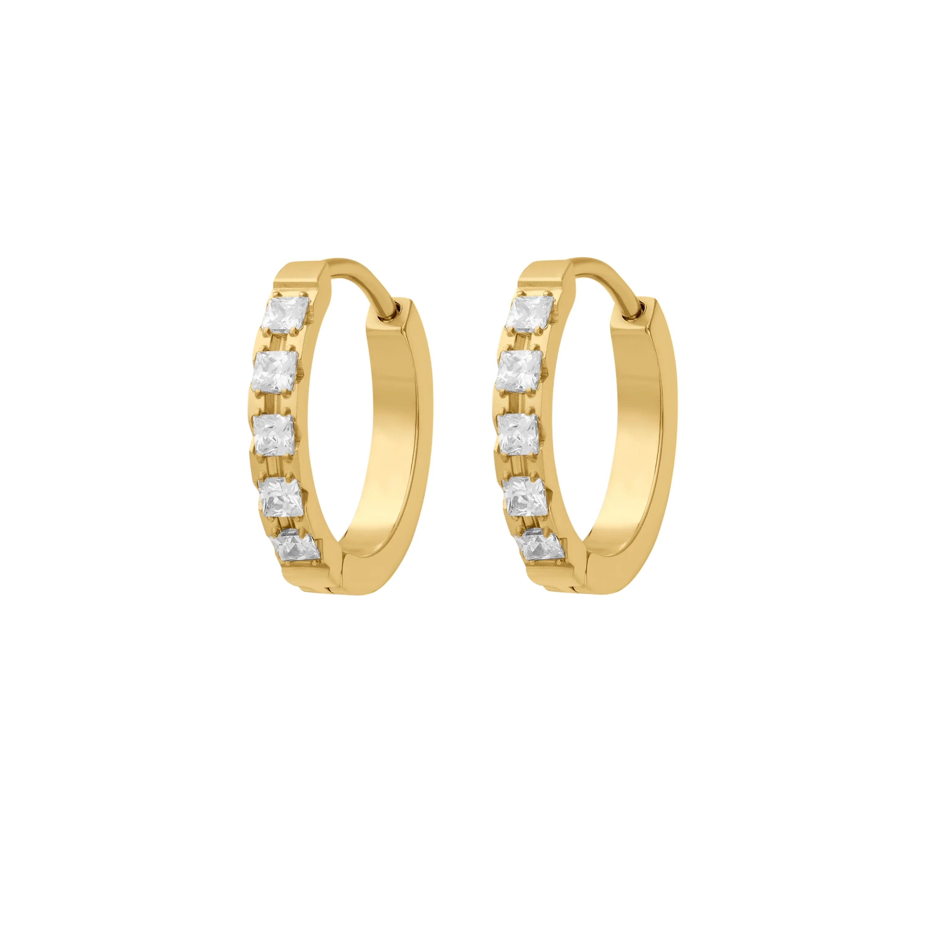 Apricity Titanium Hoops