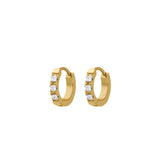 Apricity Titanium Hoops