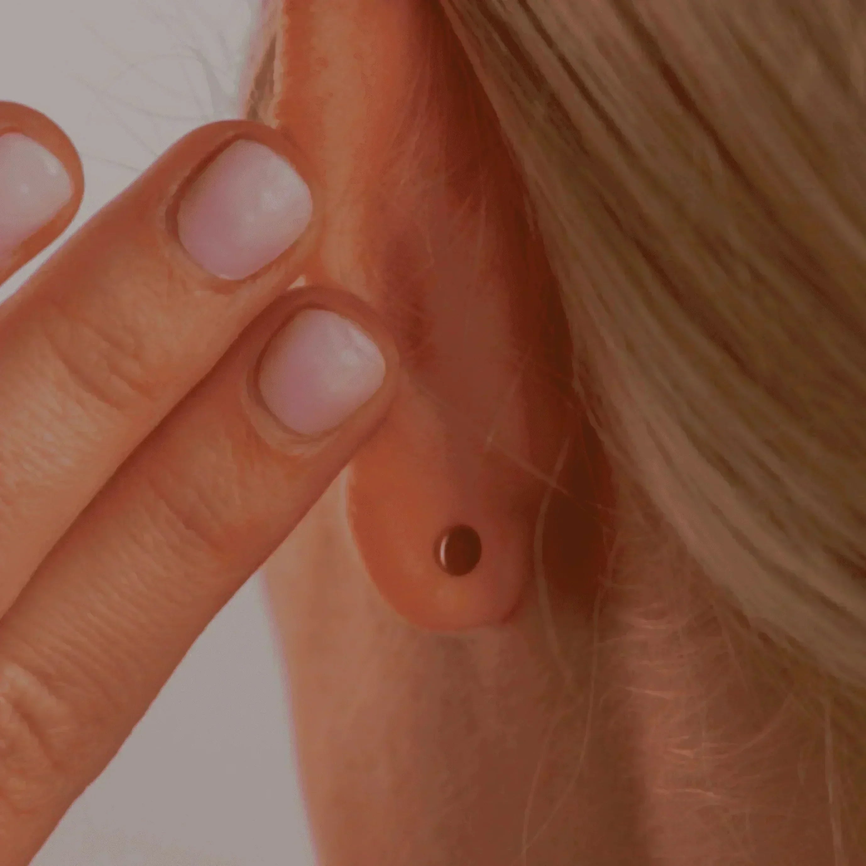 Beetle Flat Back Stud