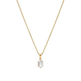 Clear Terrarium Necklace