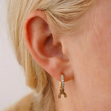 Rainbow Hoop Charm