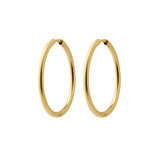 Essential Hoops