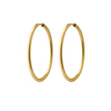 Essential Hoops