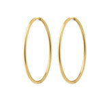 Essential Hoops
