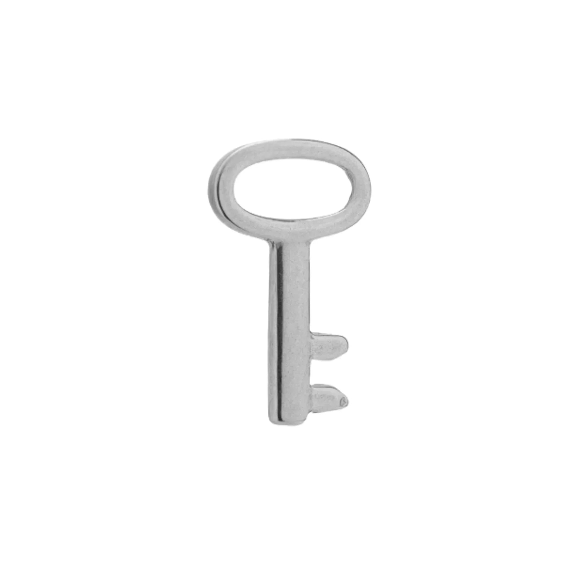 Diary Key Hoop Charm