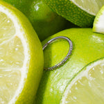 Close-up of sliced limes with a silver cartilage hoop on top