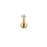 Gold flat back stud with a synthetic, prong-set pearl on a white background