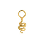 Gold snake-shaped charm on a white background