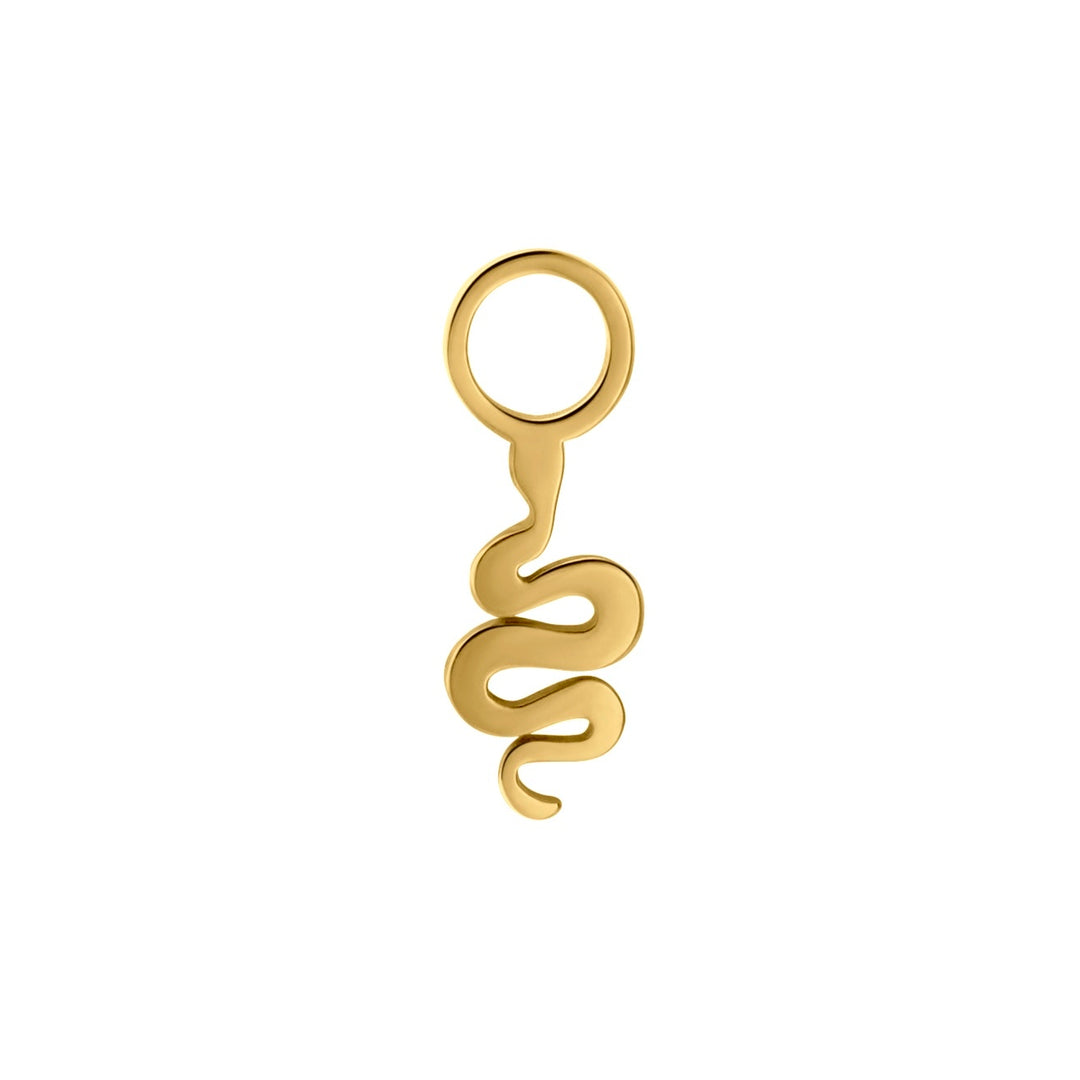 Gold snake-shaped charm on a white background
