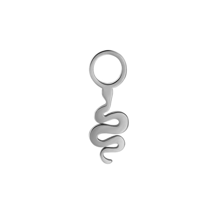 Silver snake-shaped charm on a white background