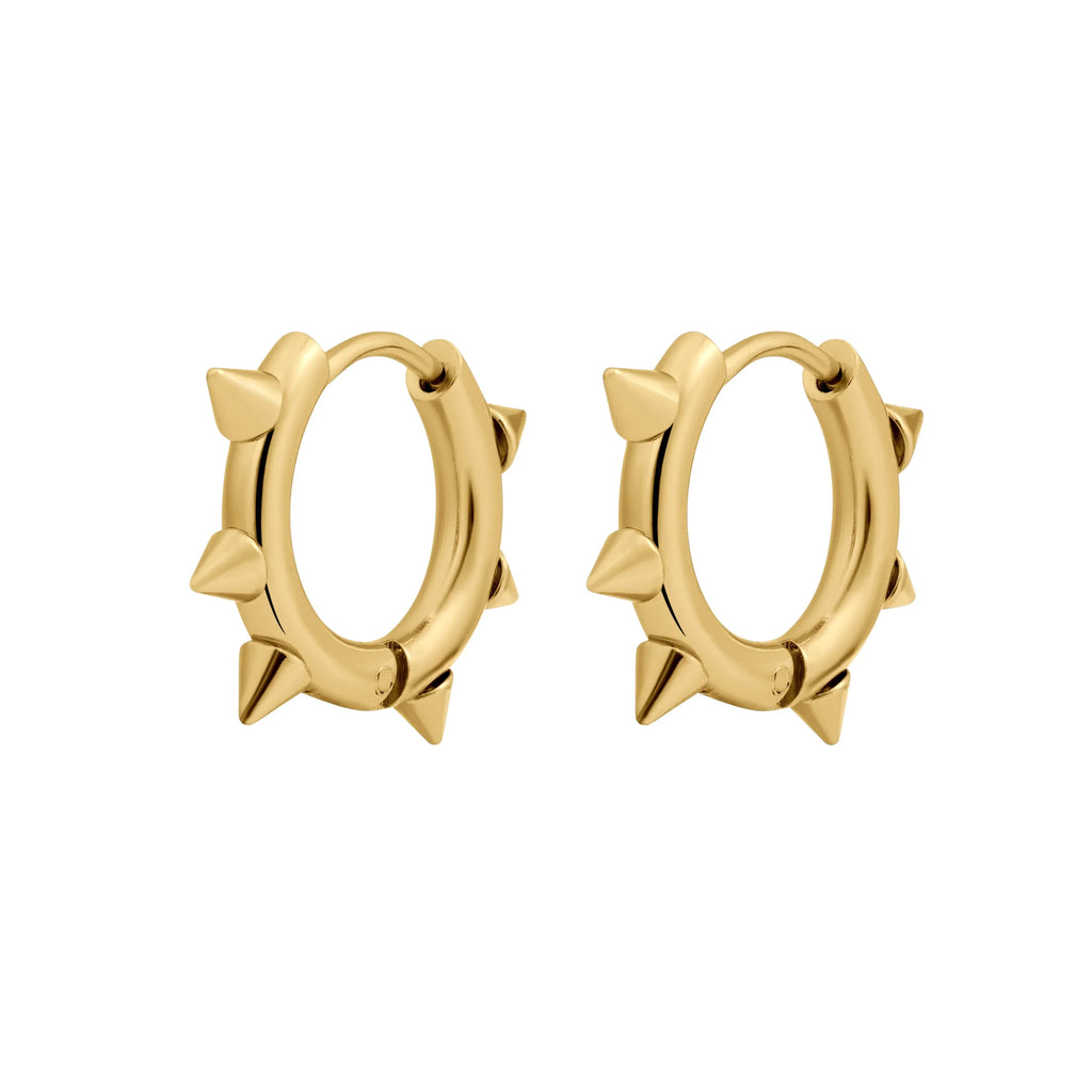 SpikeHoopsG_1024x1024.jpg?v=