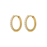 Titanium Celestial Hoops