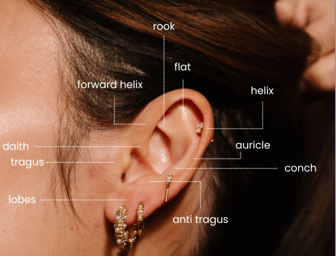Piercing Rigid Ears The Ultimate Guide to Ear Piercings: Piercing 101 with Cords Club