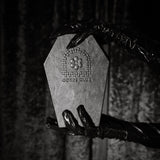 The Coffin Jewelry Box