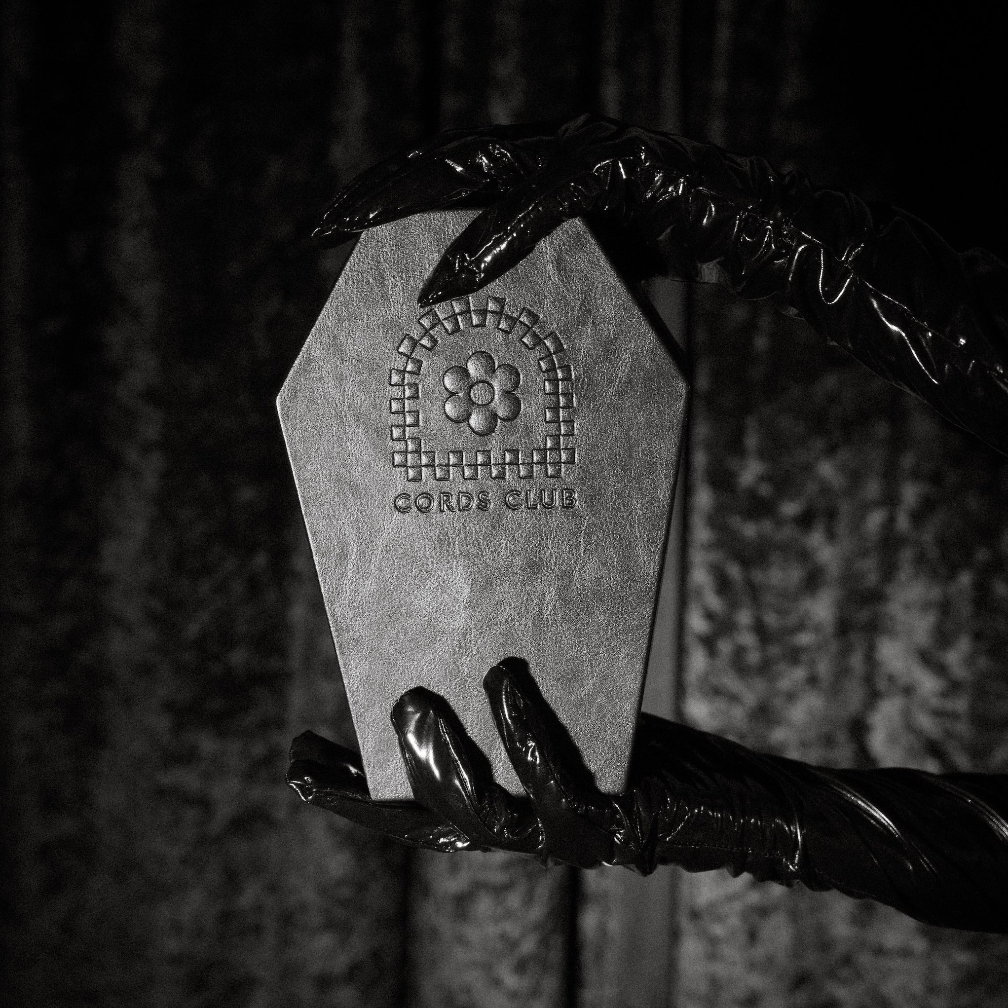 The Coffin Jewelry Box