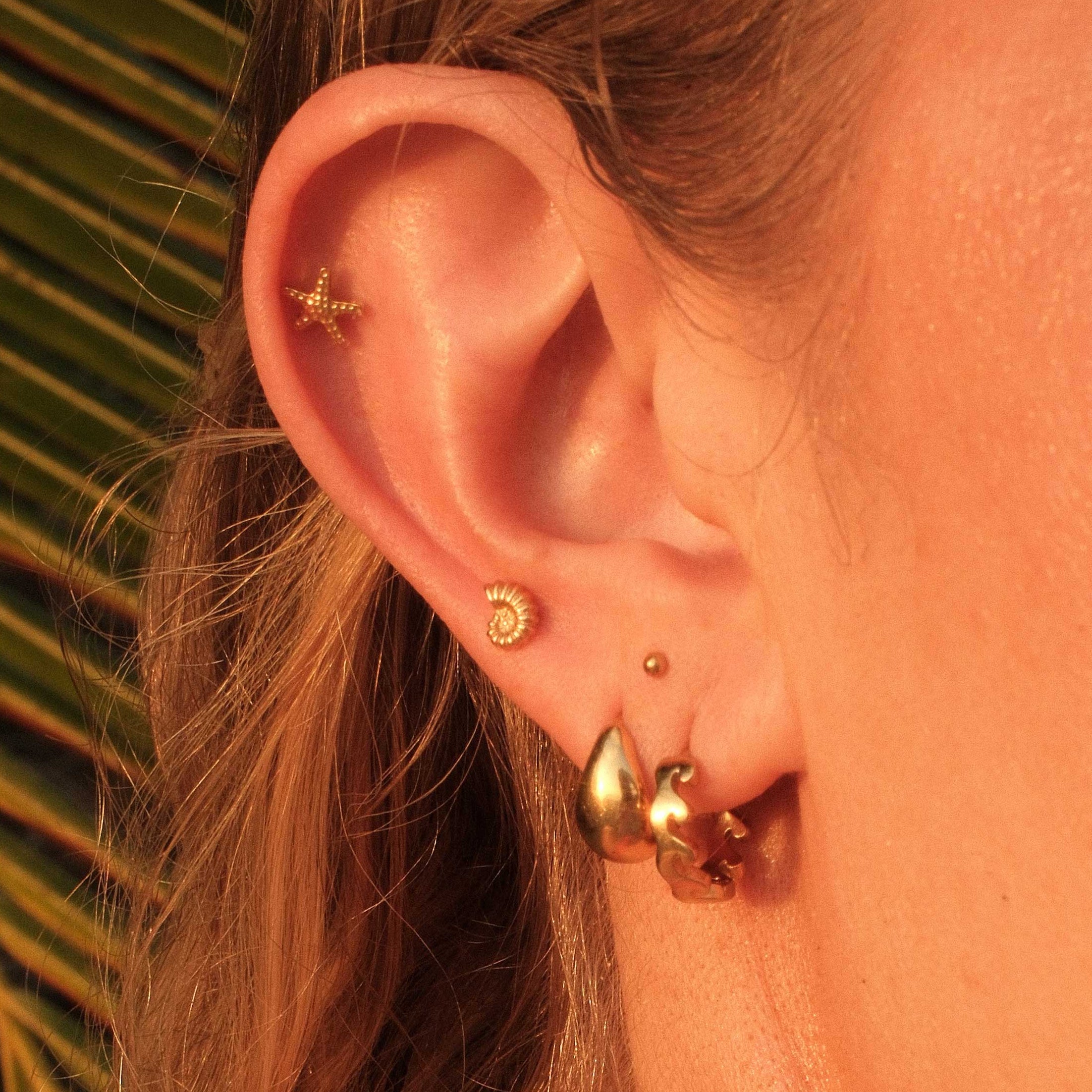 Close-up of an ear with gold earrings against a blurred natural background
