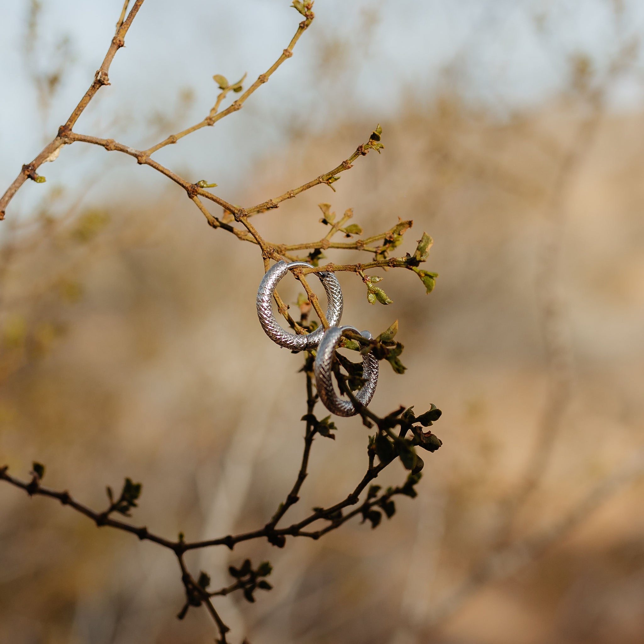 Snakeskin Hoops