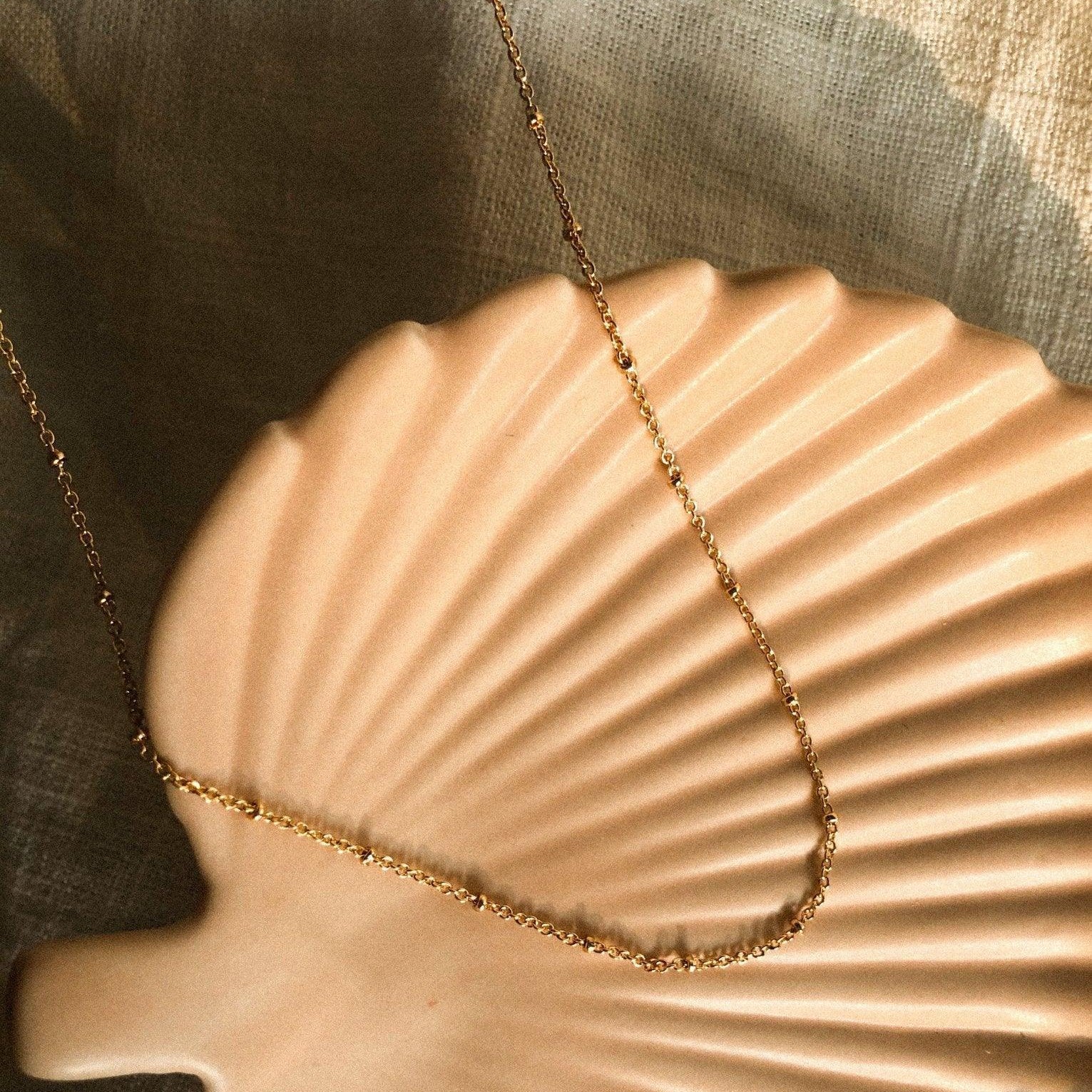 Stevie Choker Necklace